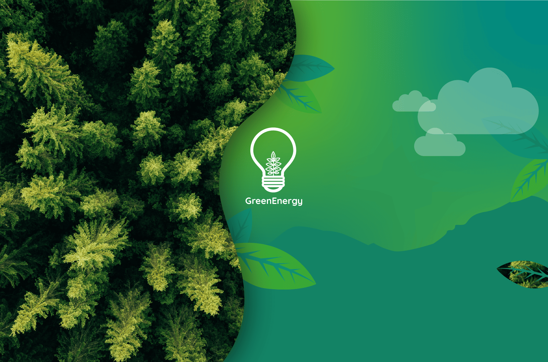 Usenergy lança GreenEnergy: uma iniciativa pioneira de reflorestação aliada à energia limpa